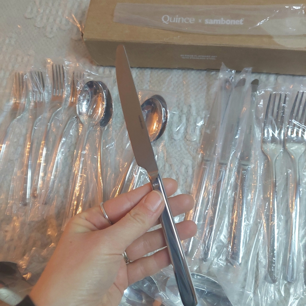 NEW! Quince- Sambonet Gia Minimalist 20 Piece Stainless Steel Flatware Set! (#G) - Picture 7 of 12